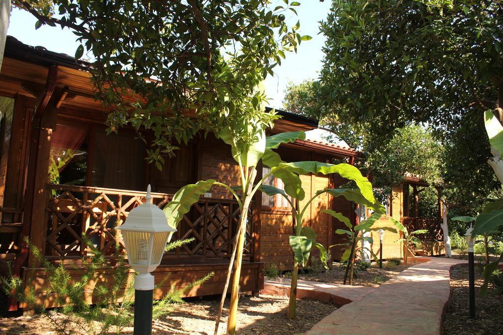 Grand Aygun Hotel Cirali Room photo