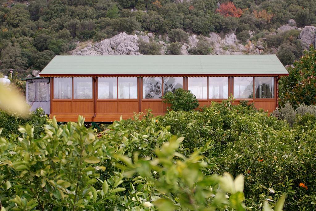 Grand Aygun Hotel Cirali Exterior photo